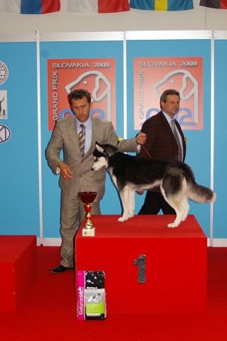 www.dogsk.sk * Kynologická revue * www.eurodog.eu