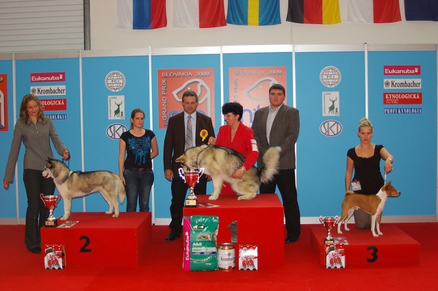 www.dogsk.sk * Kynologická revue * www.eurodog.eu