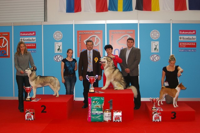 www.dogsk.sk * Kynologická revue * www.eurodog.eu