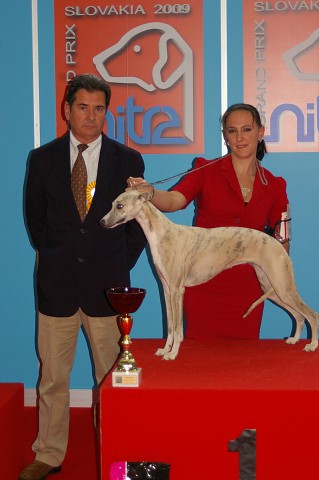 www.dogsk.sk * Kynologická revue * www.eurodog.eu