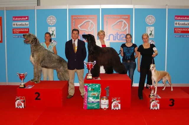 www.dogsk.sk * Kynologická revue * www.eurodog.eu