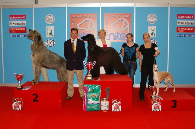 www.dogsk.sk * Kynologická revue * www.eurodog.eu