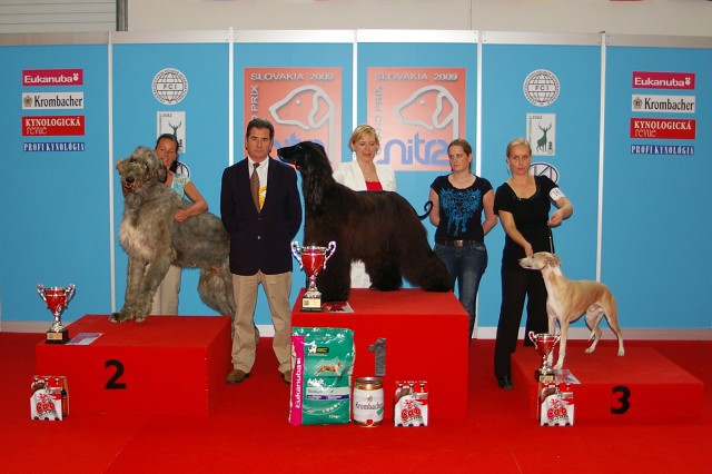 www.dogsk.sk * Kynologická revue * www.eurodog.eu