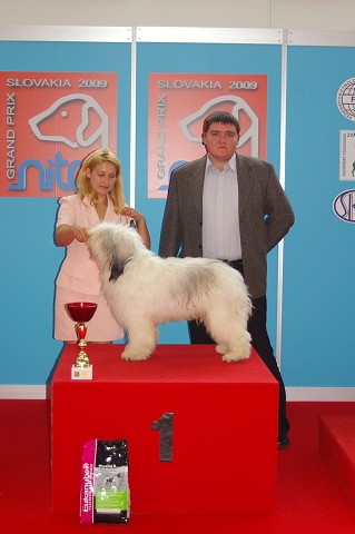 Kynologická revue - www.dogsk.sk - www.eurodog.eu