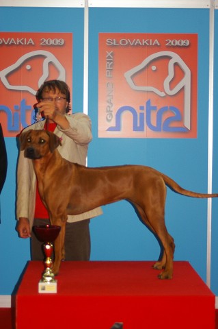 Kynologická revue - www.dogsk.sk - www.eurodog.eu