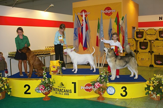 www.dogsk.sk * Kynologická revue * www.eurodog.eu