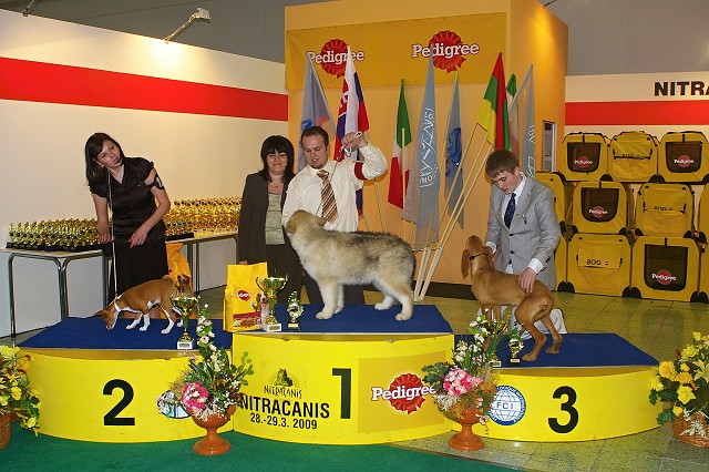 www.dogsk.sk * Kynologická revue * www.eurodog.eu