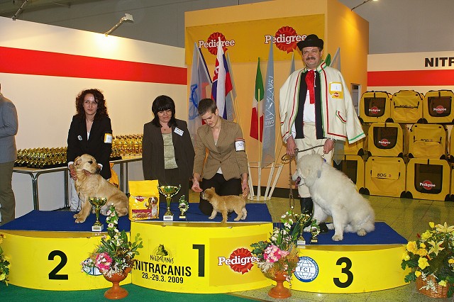 www.dogsk.sk * Kynologická revue * www.eurodog.eu