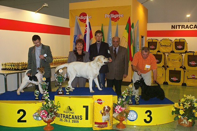 www.dogsk.sk * Kynologická revue * www.eurodog.eu