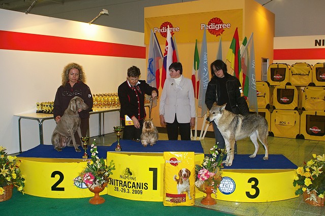 www.dogsk.sk * Kynologická revue * www.eurodog.eu