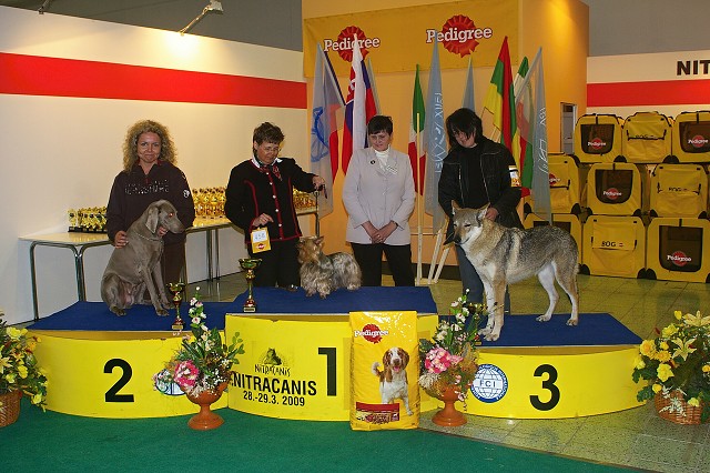 www.dogsk.sk * Kynologická revue * www.eurodog.eu