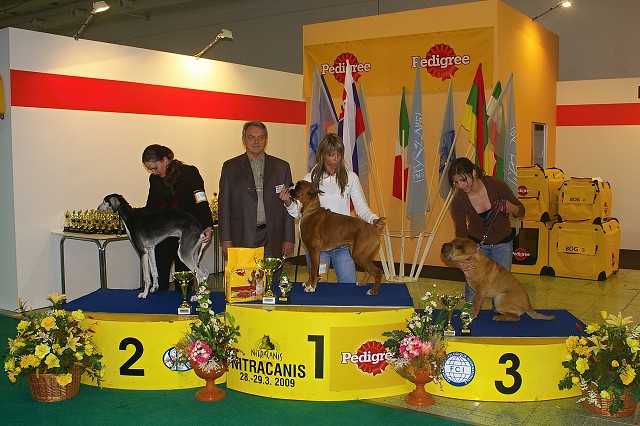www.dogsk.sk * Kynologická revue * www.eurodog.eu