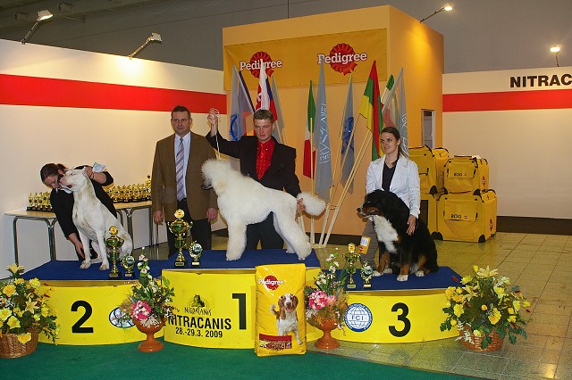 www.dogsk.sk * Kynologická revue * www.eurodog.eu