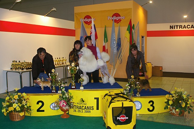 www.dogsk.sk * Kynologická revue * www.eurodog.eu