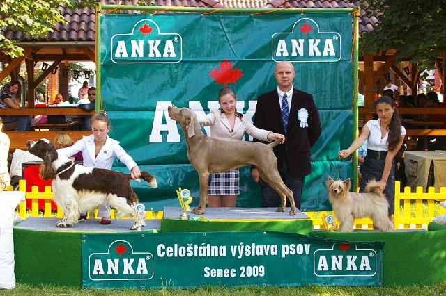 Kynologická revue - www.dogsk.sk