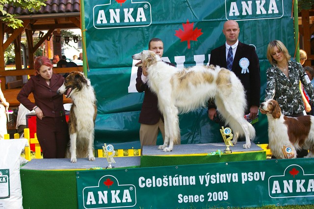 Kynologická revue - www.dogsk.sk