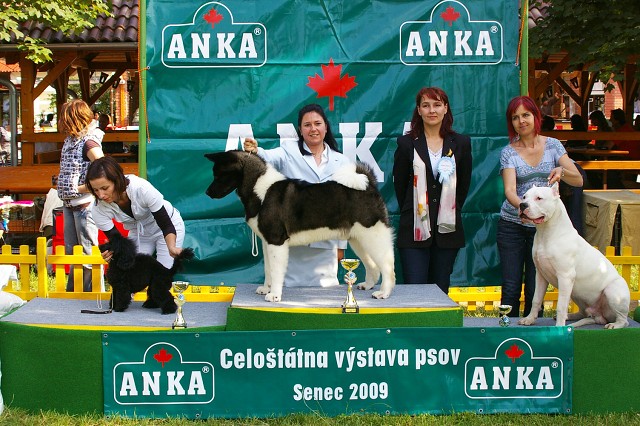 Kynologická revue - www.dogsk.sk