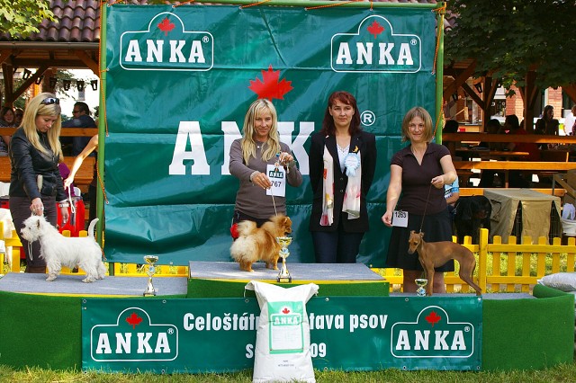 Kynologická revue - www.dogsk.sk