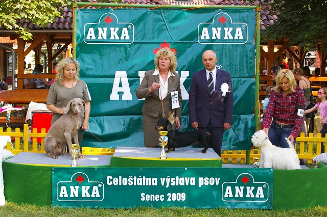 Kynologická revue - www.dogsk.sk