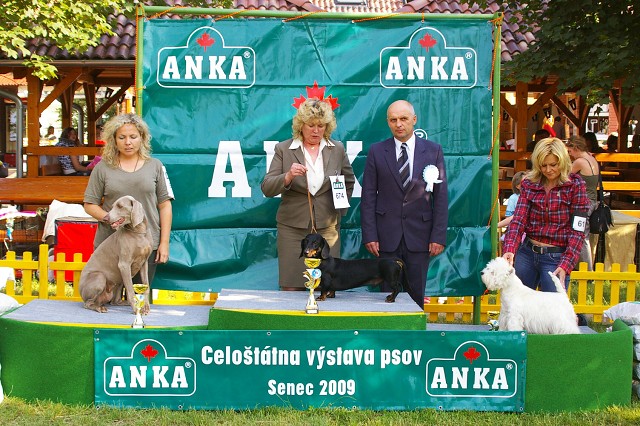 Kynologická revue - www.dogsk.sk