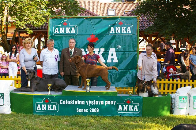 Kynologická revue - www.dogsk.sk