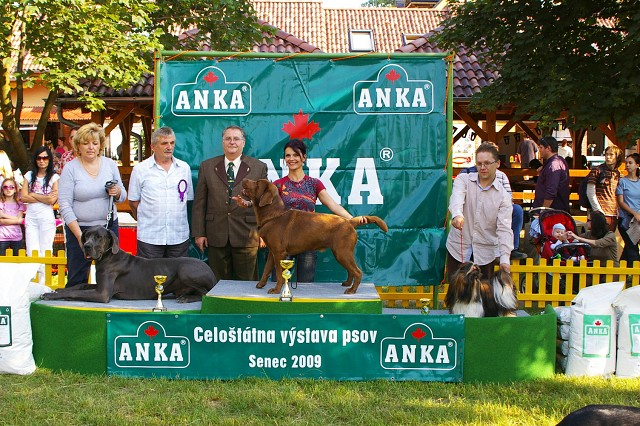 Kynologická revue - www.dogsk.sk