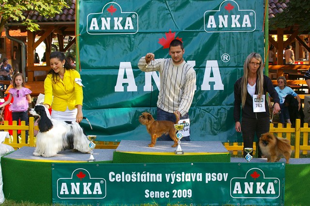 Kynologická revue - www.dogsk.sk