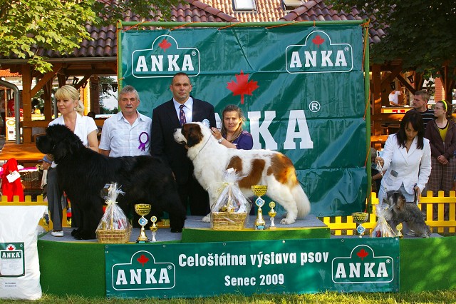 Kynologická revue - www.dogsk.sk
