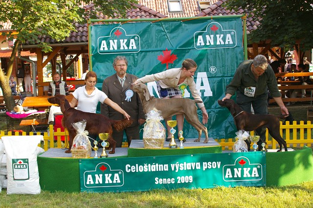 Kynologická revue - www.dogsk.sk