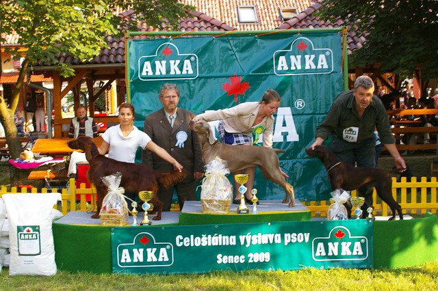 Kynologická revue - www.dogsk.sk