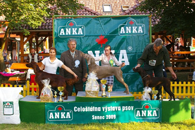 Kynologická revue - www.dogsk.sk