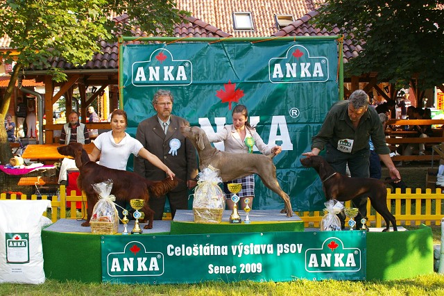 Kynologická revue - www.dogsk.sk