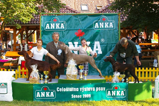 Kynologická revue - www.dogsk.sk