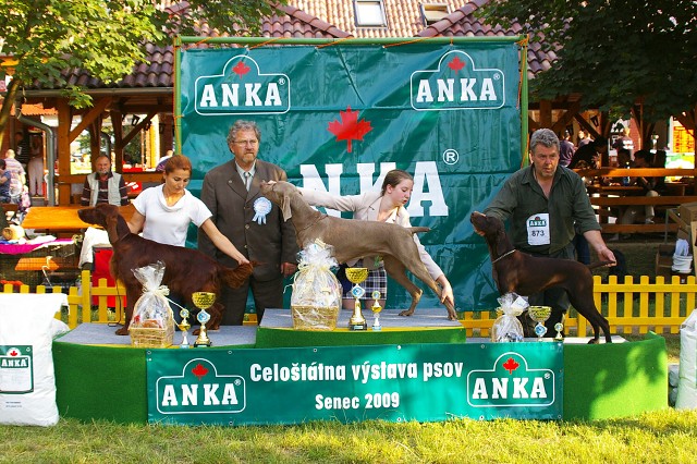 Kynologická revue - www.dogsk.sk