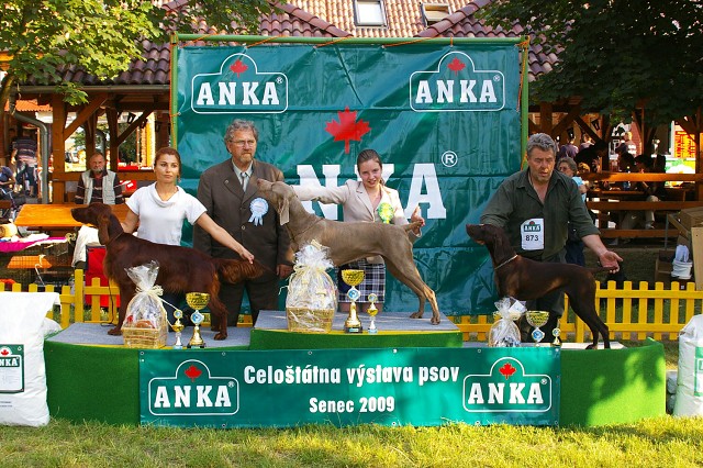 Kynologická revue - www.dogsk.sk