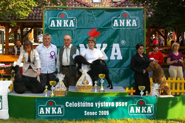 Kynologická revue - www.dogsk.sk