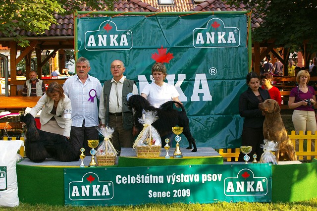 Kynologická revue - www.dogsk.sk