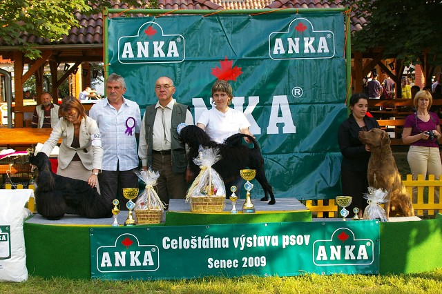 Kynologická revue - www.dogsk.sk