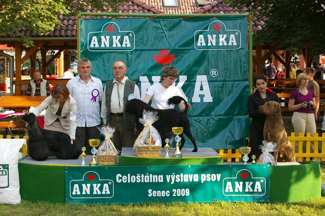 Kynologická revue - www.dogsk.sk