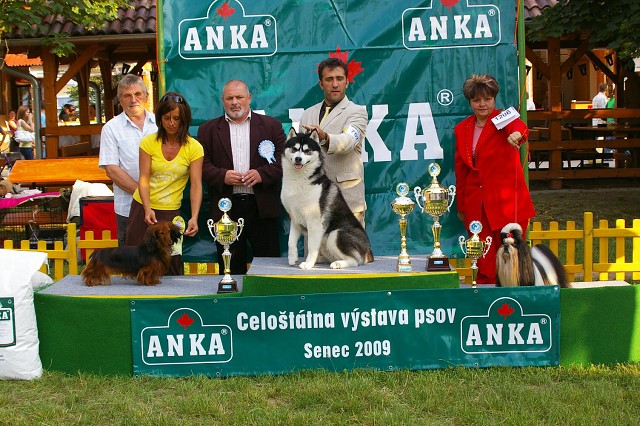 Kynologická revue - www.dogsk.sk