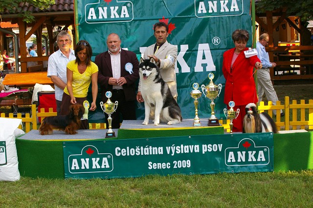 Kynologická revue - www.dogsk.sk