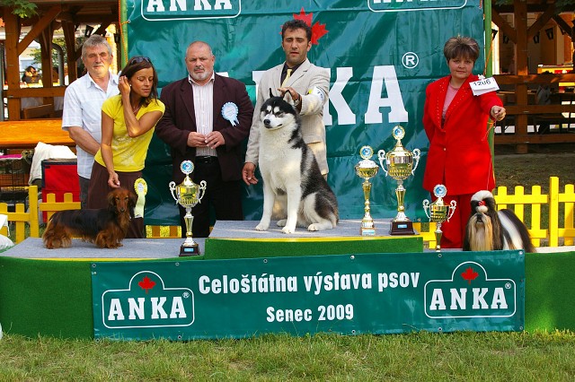Kynologická revue - www.dogsk.sk