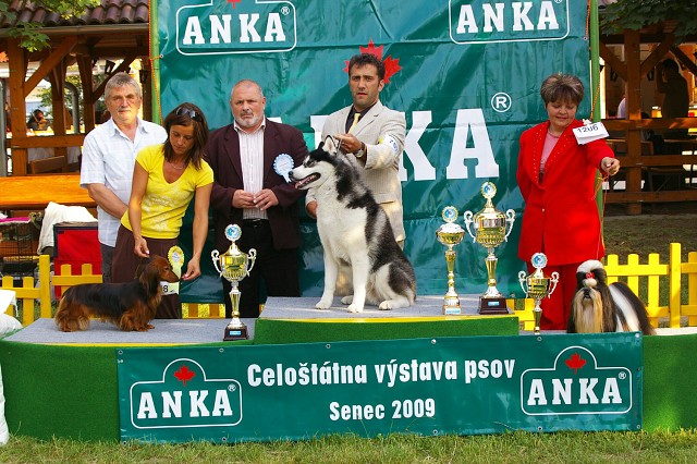 Kynologická revue - www.dogsk.sk