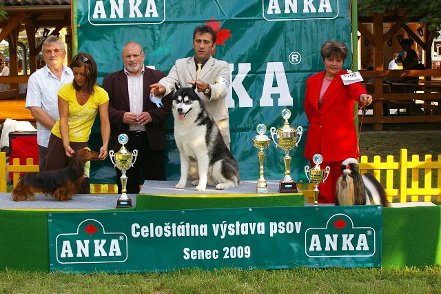 Kynologická revue - www.dogsk.sk