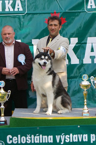 Kynologická revue - www.dogsk.sk