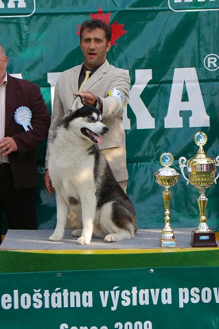 Kynologická revue - www.dogsk.sk