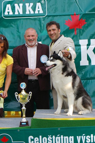 Kynologická revue - www.dogsk.sk