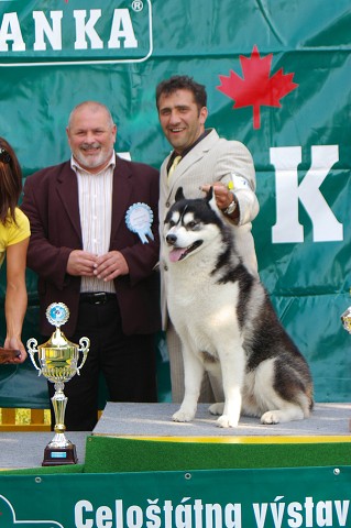 Kynologická revue - www.dogsk.sk