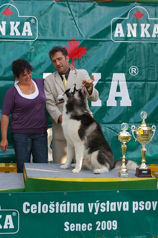 Kynologická revue - www.dogsk.sk