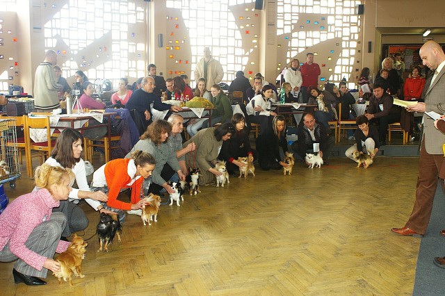 Kynologická revue *  www.dogsk.sk * www.eurodog.eu